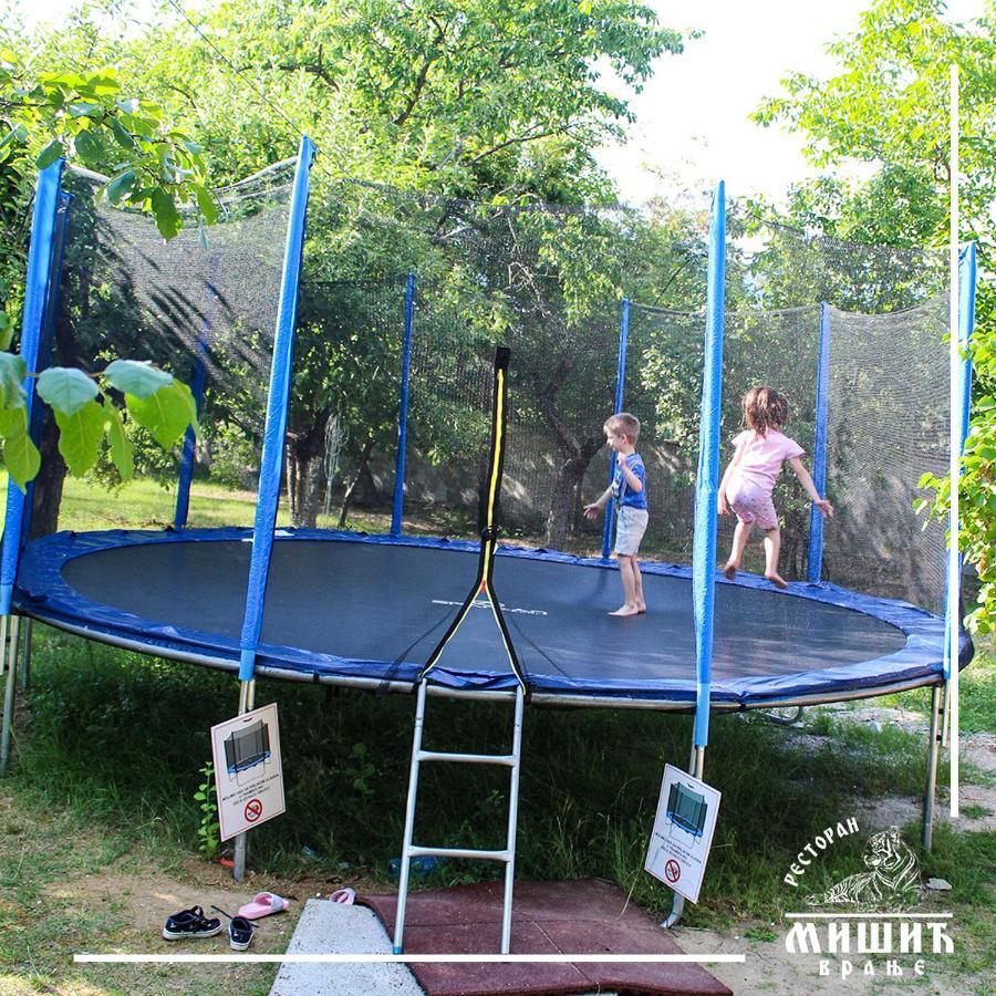 Hotel Zoo Misic Prenociste Vranje Esterno foto