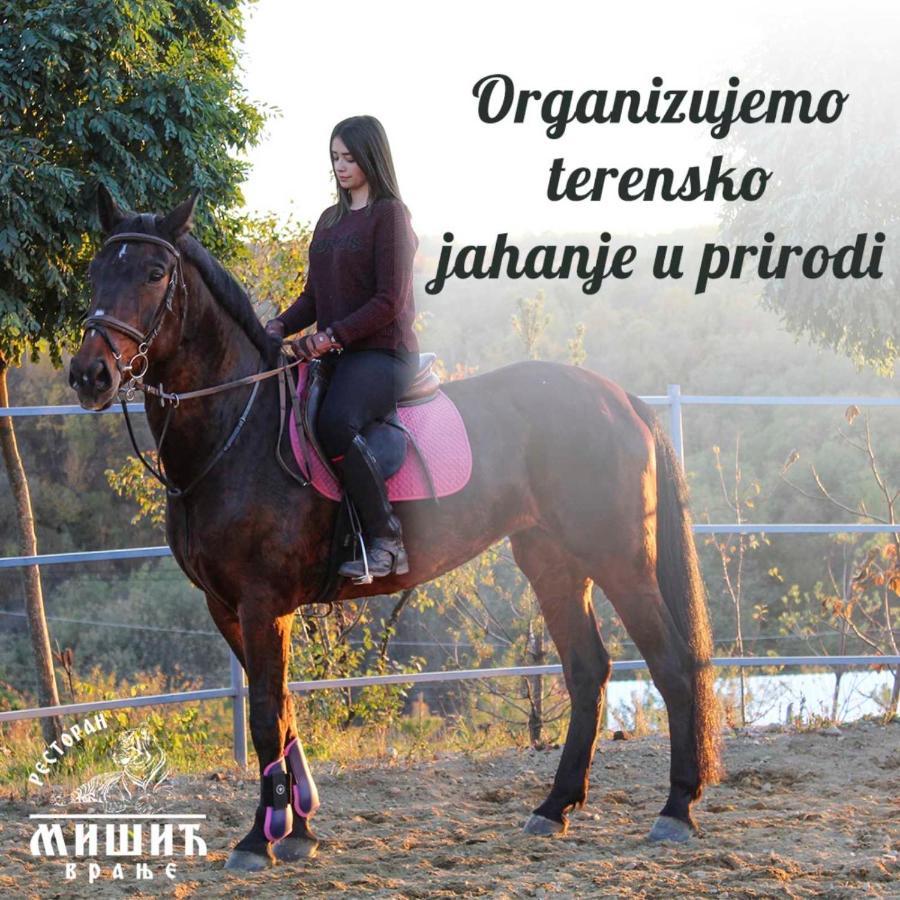 Hotel Zoo Misic Prenociste Vranje Esterno foto